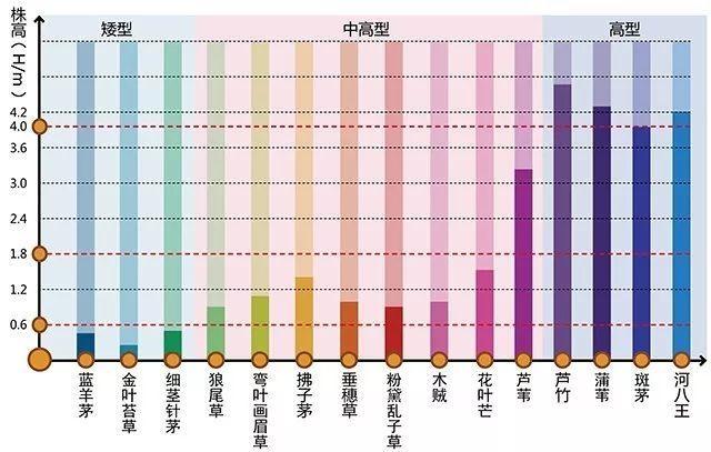 河南景观设计行业设计植物需要注重的问题有哪些？